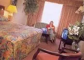 Ibis Styles Centre