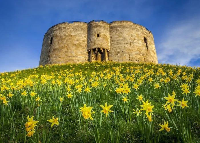 Ibis Styles Centre 酒店 3*